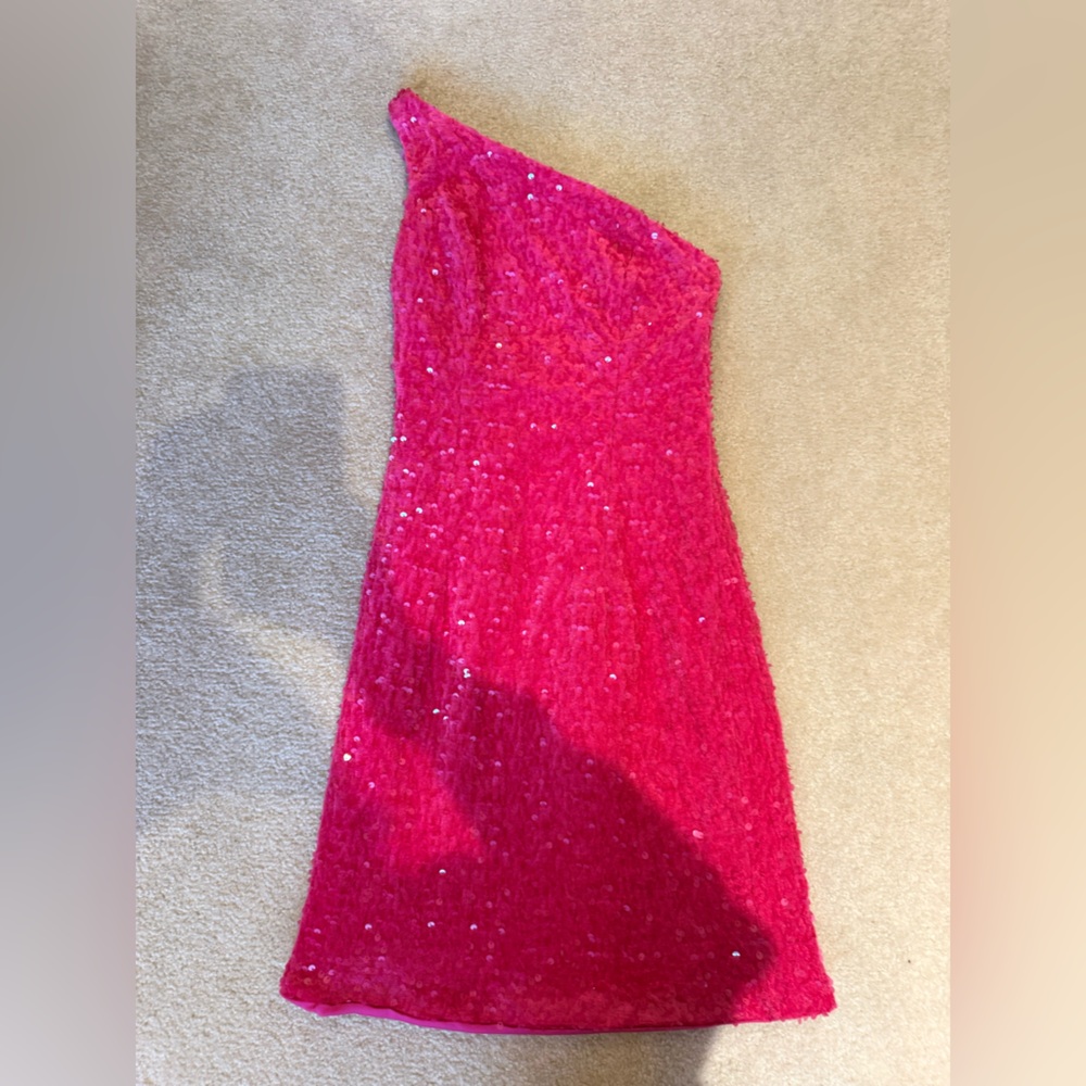 Loyeloy Dress (NWOT) no size tag but fits like a small